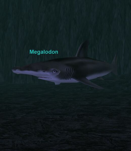 File:Megalodon.JPG